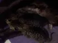 Não tem nomes 