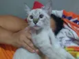 Não tem nomes 