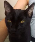 Princesa