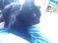Princesa