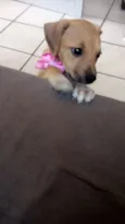 Minnie
