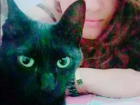 Gato raça  idade 3 anos nome Mimi