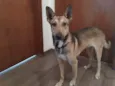 Chico