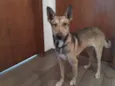 Chico