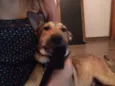 Chico