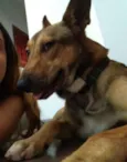 Chico