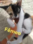 Nina