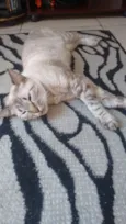 Fio