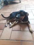 Esmeralda