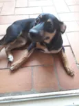 Esmeralda