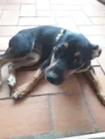 Esmeralda