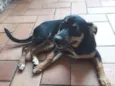 Esmeralda