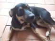 Esmeralda