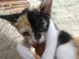 Nina