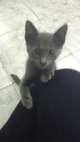 TRICKS