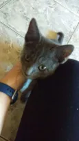 TRICKS