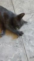 TRICKS