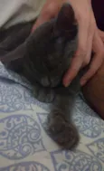 TRICKS