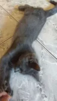 TRICKS