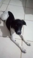 Nina