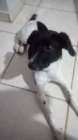 Nina