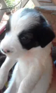 nao tem nome ainda
