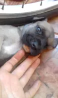 nao tem nome ainda