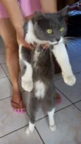 Bartolomeu