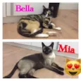 Bella e Mia