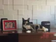 Bella e Mia