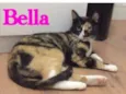 Bella e Mia