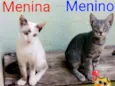 Branquinha e Patinho