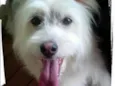 Melody