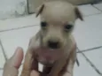 Não tem nome 