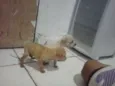 Não tem nome 