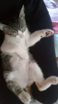 Tommy, Billy 