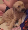Melannie