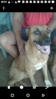 Luna SUPER MANSA