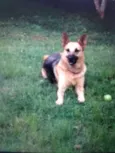 Julie