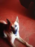 Julie