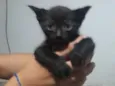 Ainda não tem nomes