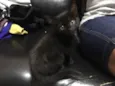 Gata