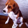 João (John)