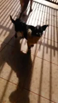 não sei