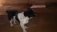 não sei