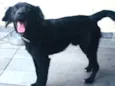 Chiquinho 