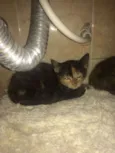 Linda e Melindra