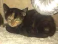 Linda e Melindra
