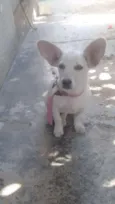 Não sabemos