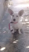 Não sabemos